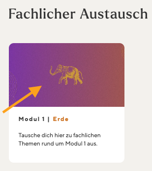Bildschirmfoto 2024-02-21 um 09.54.22.png